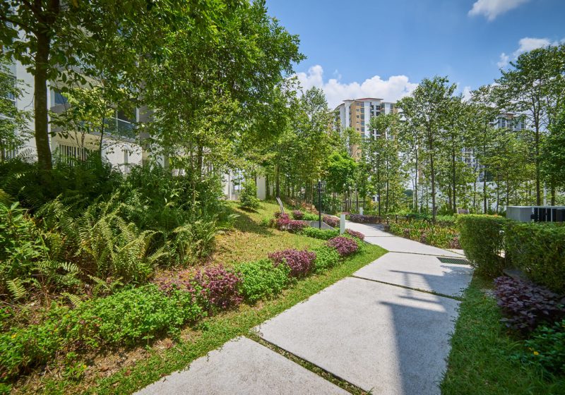 Grounds Management Services Glendale Managed Services