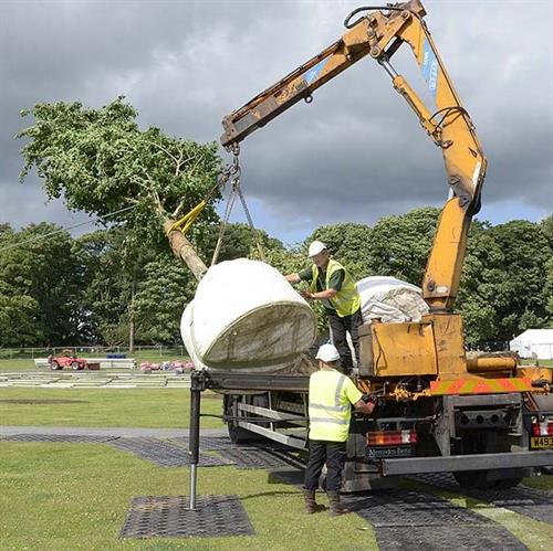 Landscape Designer Apprenticeships Landscape Designer Apprenticeships