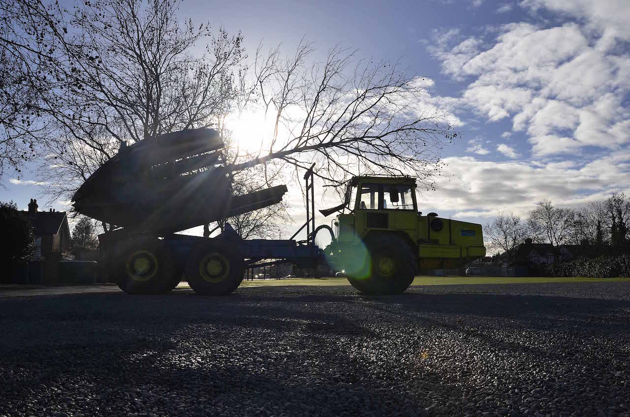 tree relocation