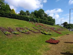 Bedding planting for Torbay Council