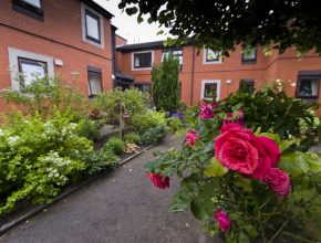 a communal housing garden