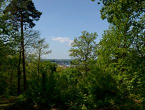 view of camberley park