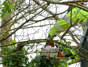 Chainsaw work from a MEWP