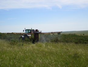 Commercial grounds maintenance spraying