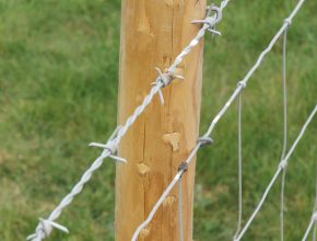 A fence post and barbed wire fence