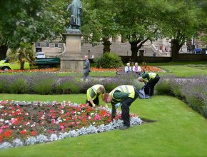 glendale staff members maintaining a flower patch