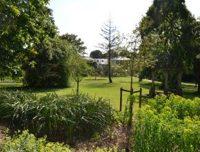 Landscaping reinstatement in Torquay