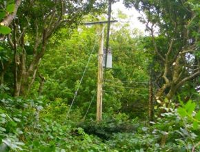 Vegetation clearance zone