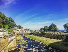 River clearance work and vegetation management EA