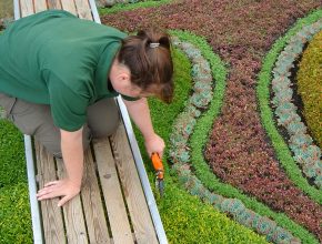 Tending bedding displays