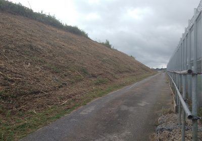 Vegetation management at Gatwick