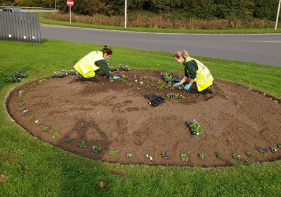 Summer bedding Gatwick Airport circle