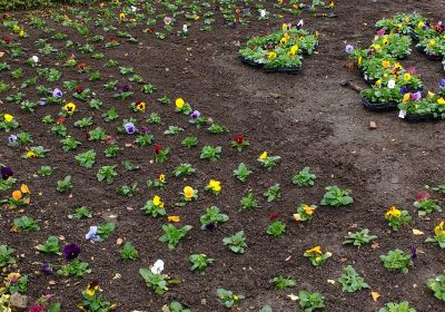 Summer bedding Gatwick Airport