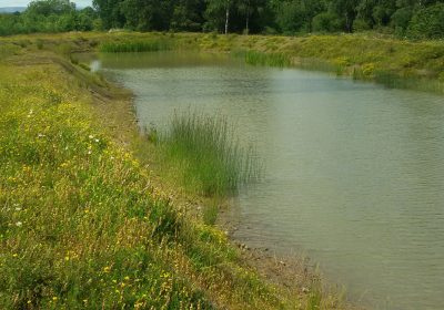 William Blythe Lagoon