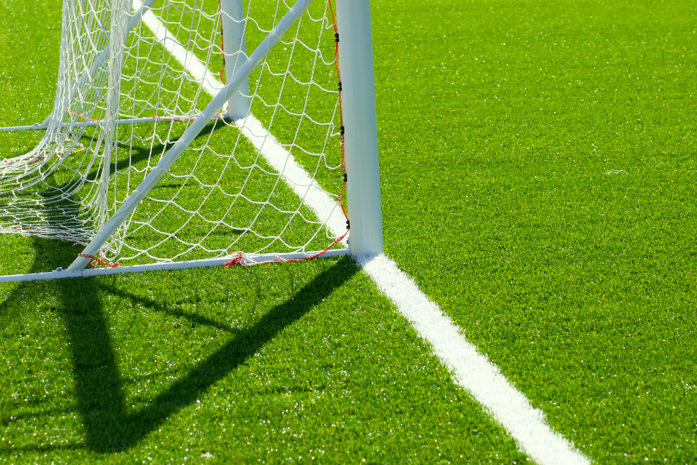 Sports Pitch Renovation Glendale Latest Jobs and Vacancies