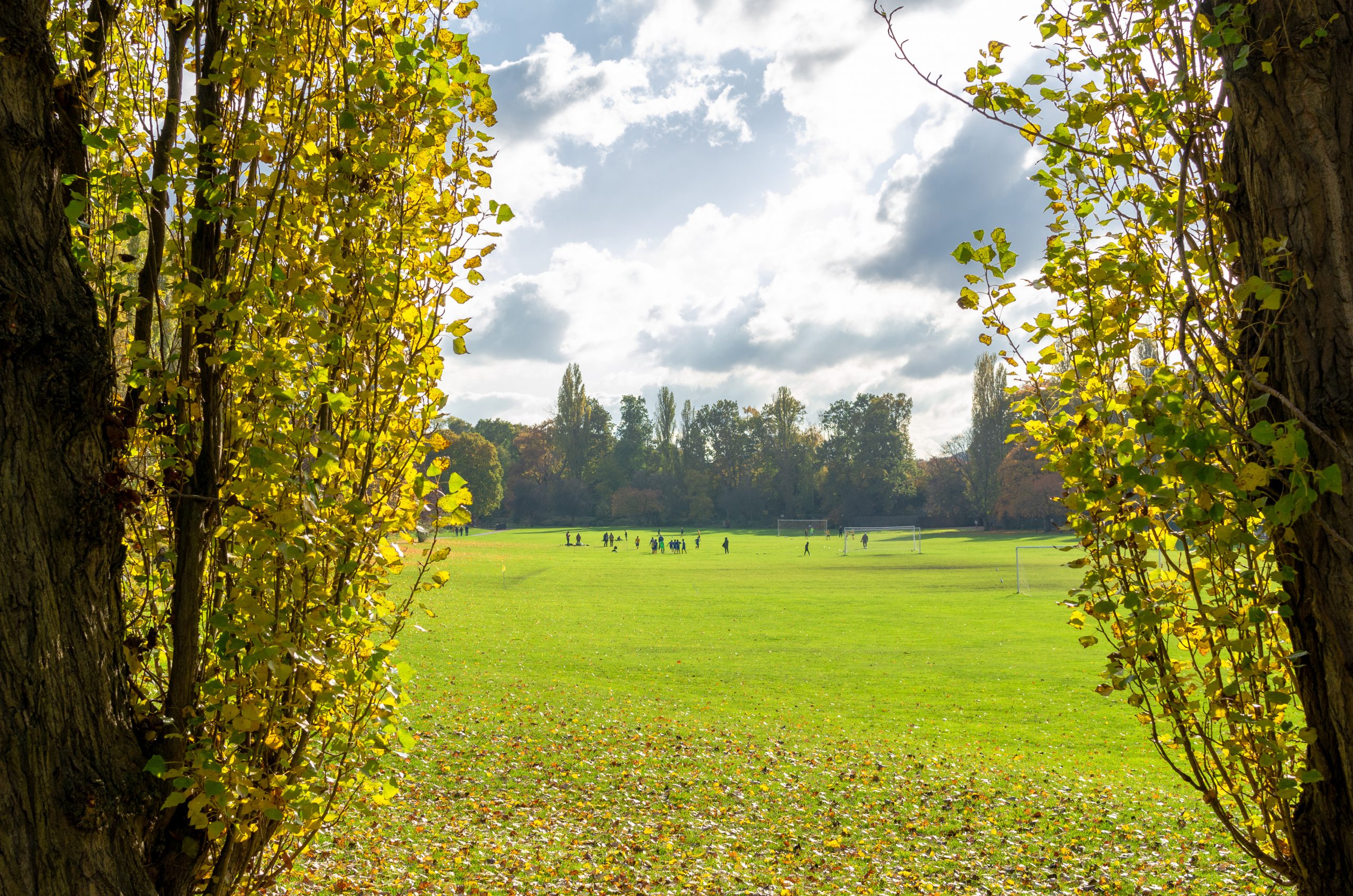 Glendale continue working partnership with Lewisham Council