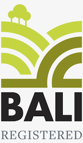 BALI-Logo