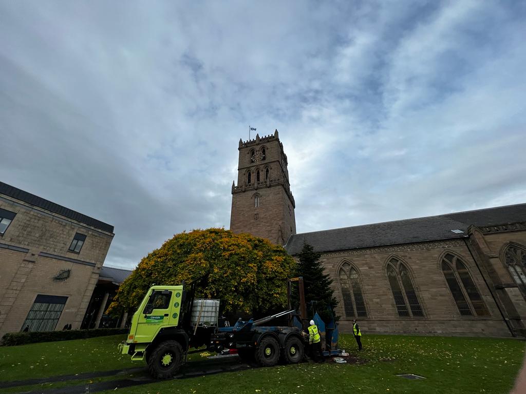 relocating christmas tree