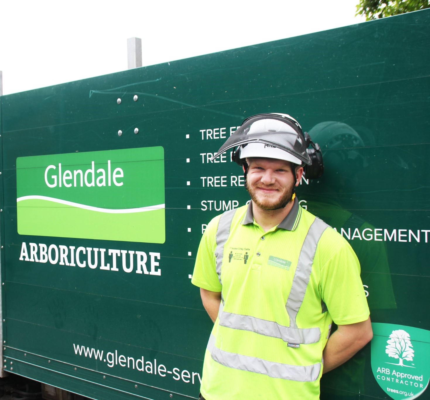 How to an Arborist Glendale Blog