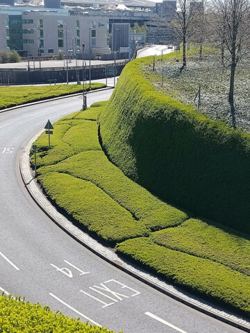 Thought About Installing Living Walls on your Company's Premises? 